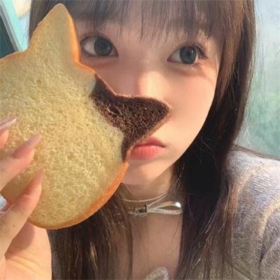 飞盘犬